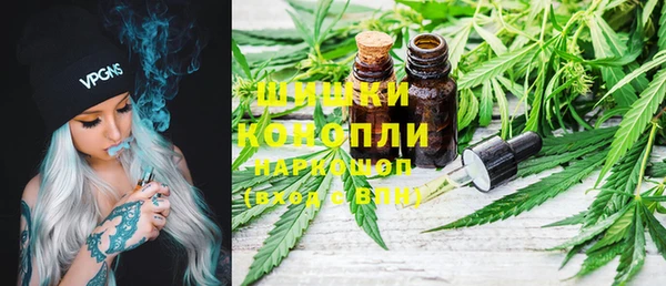 ГАЛЛЮЦИНОГЕННЫЕ ГРИБЫ Дубна