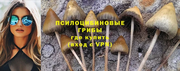 кокаин премиум Алексеевка